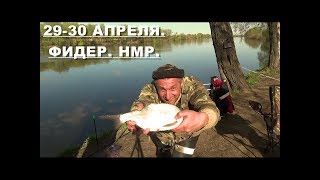 Крокодилы на фидер