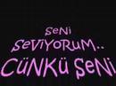Seni Seviyorum