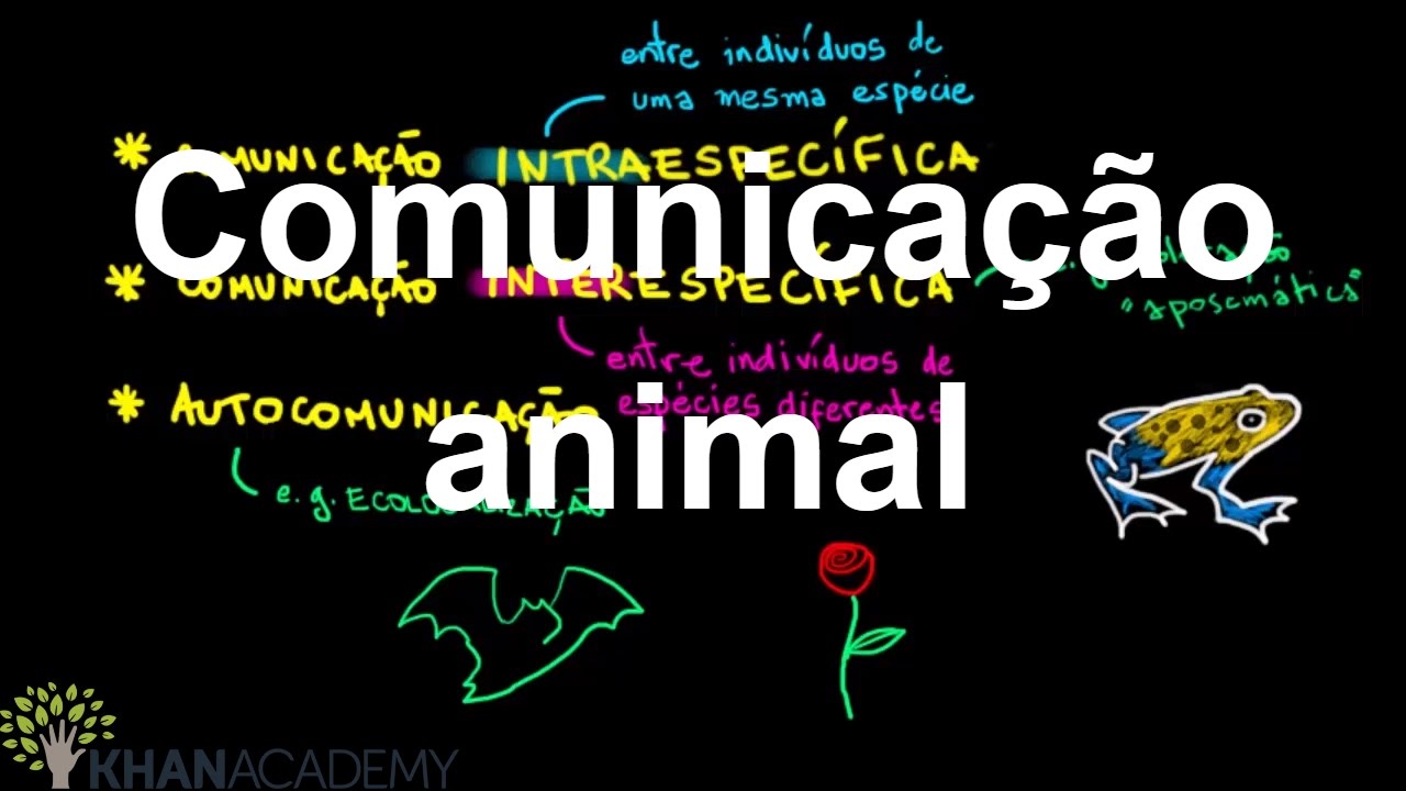 Comunicação animal | Biologia comportamental | Biologia | Khan Academy