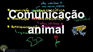 Comunicação animal | Biologia comportamental | Biologia | Khan Academy