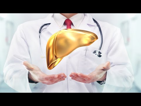 Smedex Trailer - Leber Aufbau & Funktion - E-Learning Rettungsdienst, Medizin & Pflege