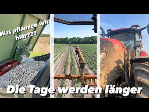 Chaos ‼️Überall geht etwas kaputt | Jetzt fehlt der Regen | Farmvlog #119