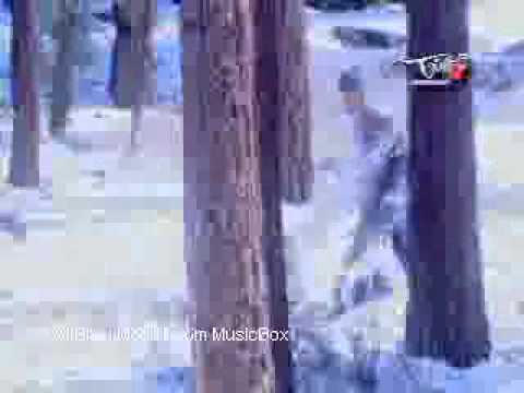 Trong Em Tinh Van Sang - Tu Quyen