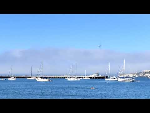 San Francisco Fleet Week 2022  US Navy F-35C Highlights