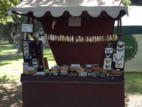 Stánky - Nedvěd, Brontosauři