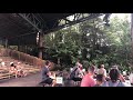 Marabou Stork Disney S Animal Kingdom