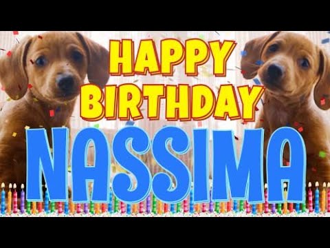 Happy Birthday Nassima! ( Funny Talking Dogs ) What Is Free On My Birthday
