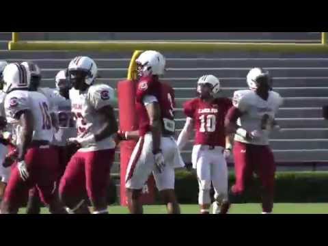 Gamecocks scrimmage sights and sounds