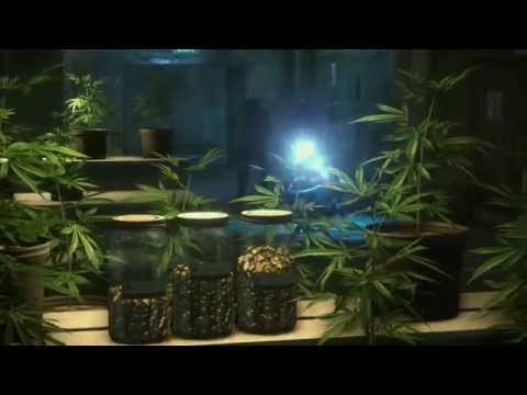 Battlefield: Hardline - Comic Con Gamex 2014