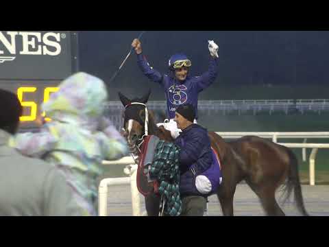 230903 c08 Polla de Potrancas/ LA FIRMANTE (ARG)