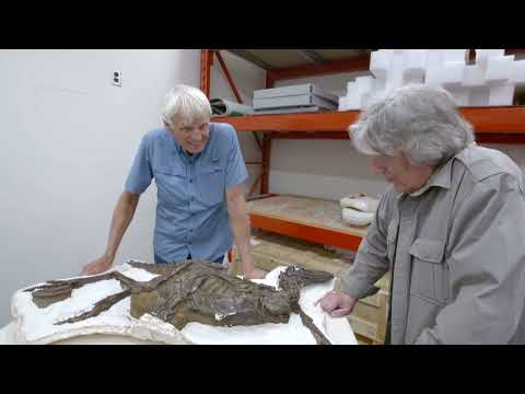 Oživil dinosaury, ilustroval Jurský park: Natočme o něm film