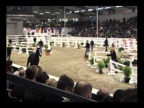 Kat. Nr. 70 von Clintord / Singular Joter - Freilaufen / Freispringen