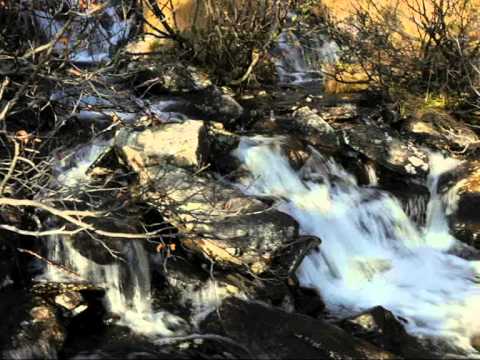 MGV Kaning Herbst.wmv