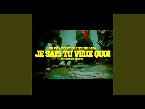 Je sais tu veux quoi (feat. Capitaine Gaza, Lost)