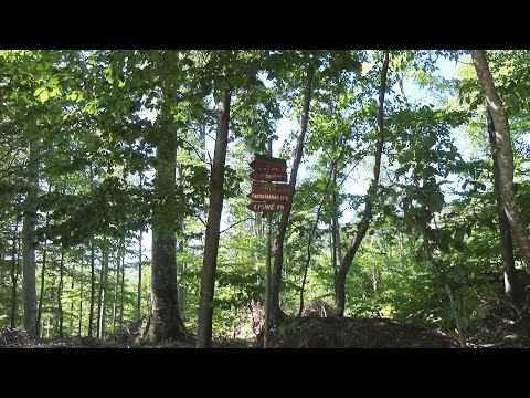 Slavonske šume - Dašak svježine