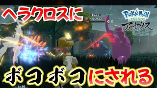 【色違いオヤブン】ヘラクロスにボコボコにされるww【ポケモンレジェンズアルセウス】#shorts