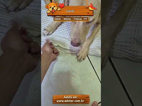 Vídeo de Lionel