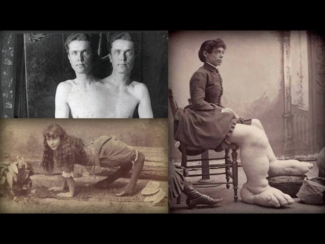 Video Pronunciation of freak in English Video Pronunciation of freak in English