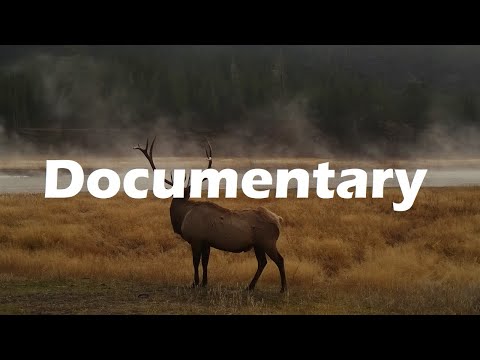 Cinematic Documentary Music For Videos
