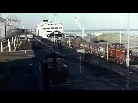 Bird migration route without traffic