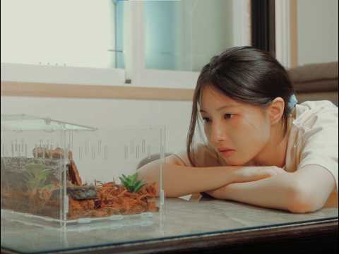 비디오 10