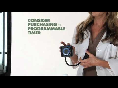 Using your Phototron Step 10: Switching to the Vegetative Cycle