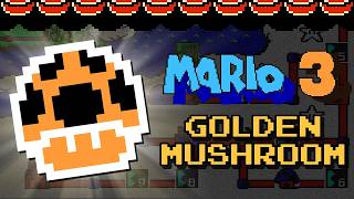The Quest for Mario 3's Rarest Item