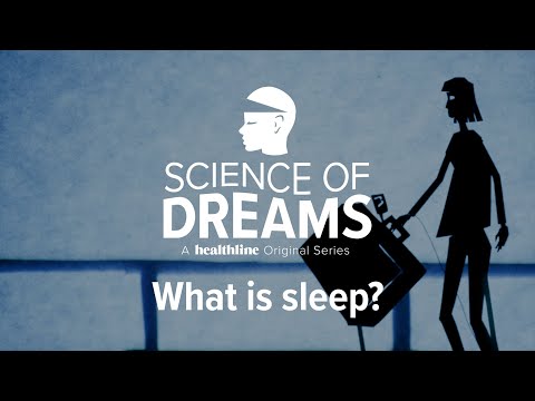 Science of Dreams: What Is Sleep?