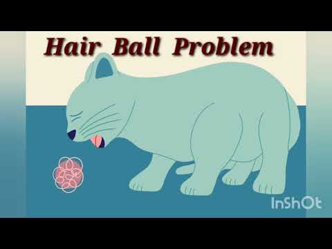 Hairball Problem & Solution For Cat /  பூனைக்கான ஹேர்பால் பிரச்சனை &  தீர்வு