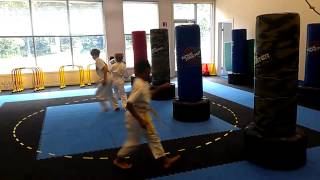 preview picture of video 'Beginner Karate Kids Flying Side Kick Practice'