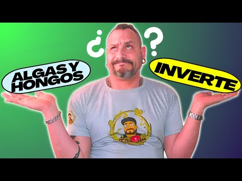 ¿QUÉ MATERIA ABANDONO? Lo decido con vos.