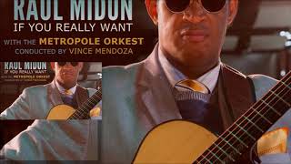 Everyone Deserves a Second Chance ♫ Raul Midón & Metropole Orkest