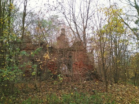 Traska #4 - Las Wiączyński