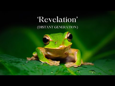 Sweetapple Ltd video.