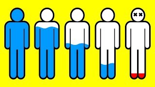 What If You Stopped Drinking Water For A Day?