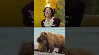 Piper Curda, Bobby Moynihan, and Jon Hamm tap into their wild sides for Nat Geo's Overdubbed 🗣️