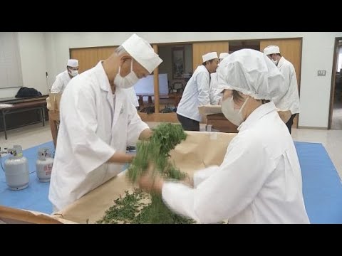 YouTube Video 静岡・富士市で茶の手揉技術競技会開催　市内の茶農家など１２人が参加