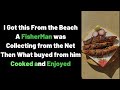 Fish Fry Machi Fry Recipe Masala Fish Fry Sea Food Recipe Fishfry Seafood Fishrecipe