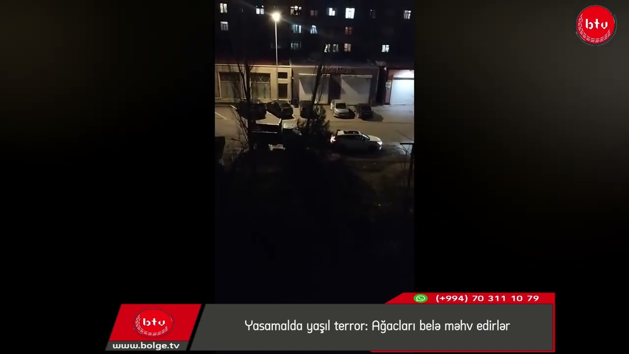 Yasamalda yaşıl terror: Ağacları belə məhv edirlər