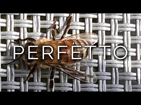 1303-IT Luca, PERFETTO - Ipnosi Esoterica ∞ Lucio Carsi