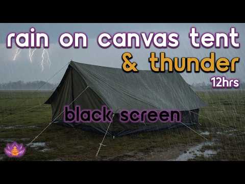 [Black Screen] Rain on Canvas Tent with Thunder | Cozy Camping Rain & Thunder Sounds for Sleeping