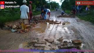 Download lagu Lagu sayur kol versi belitang mp3