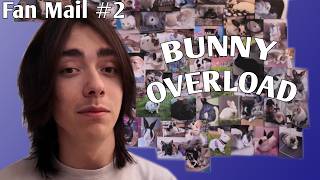 Custom Bunny Jewelry In My Mail? FAN MAIL 2
