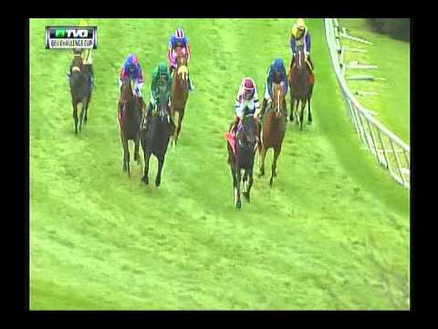 2014 Queen Elizabeth II Challenge Cup