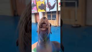 Download lagu Suami Heran… Kok Istrinya Mirip Anjing Laut? #marriedlife #funny #nadidiasu #comedycouple mp3 Download lagu Suami Heran… Kok Istrinya Mirip Anjing Laut? #marriedlife #funny #nadidiasu #comedycouple mp3