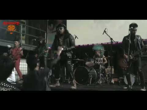 The Eastigers Live - Tribute To Turtles Jr (No Police No Poluttion Cover)