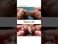 Real Or AI Viral ASMR Satisfying Chocolate Slicing Cutting Video Generator