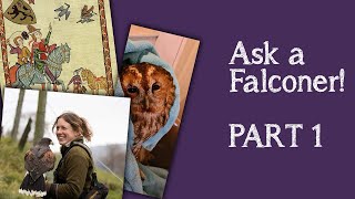 Falconry | Your Questions Answered | Part 1 | What Is Falconry?