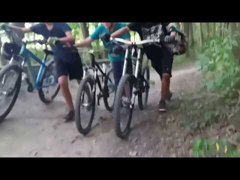 Lärchenhölzchen SLF Downhill und Dirt        shortcut #1