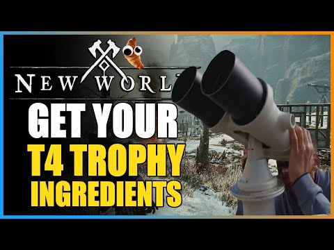 New World - T4 Trophy AND Furnishing/Cooking Recipe Supply ChestRoute! Incredible Droprates!